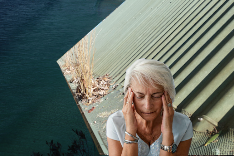
Gutter Guard Letdown: Woman`s Dismay Captured in ulladulla
