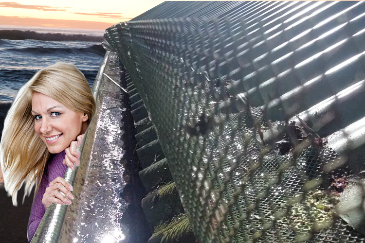 
Inquisitive ulladulla Woman Inspects Gutter Guard-Secured Cleaned Gutter