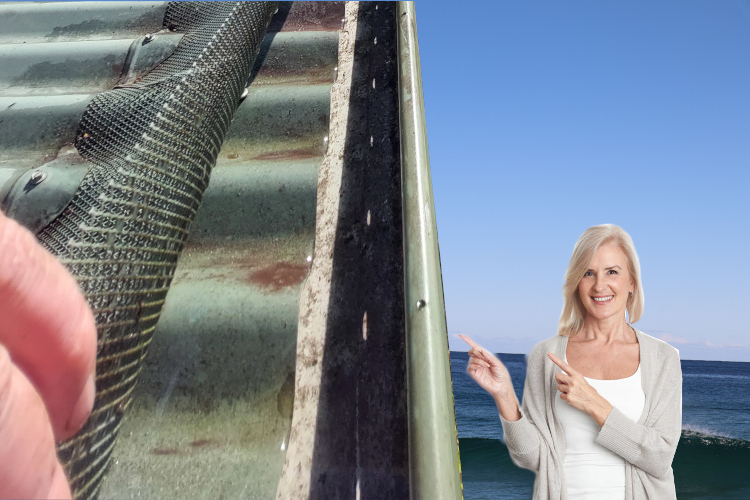 
Gutter Guard Triumph: ulladulla Woman`s Delight in Cleaning Results